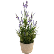 Kunst Lavendel