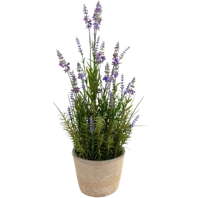 Kunst Lavendel