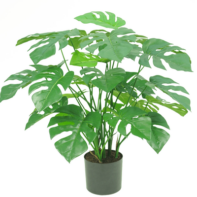 Kunst Monstera & Philo