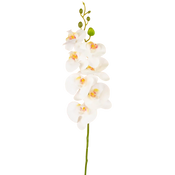 Kunst Orchidee