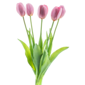 Kunst Tulpen