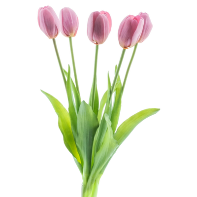 Kunst Tulpen