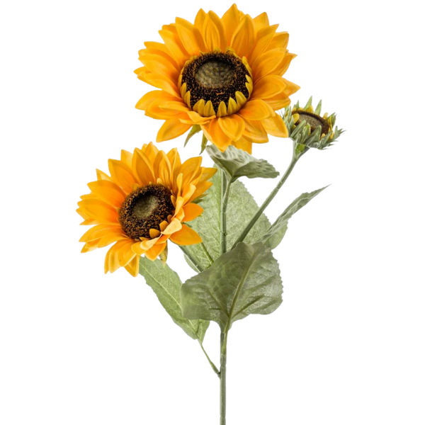 Kunst zonnebloemen