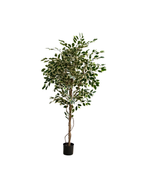 Kunstplant Ficus Exotica 165 cm
