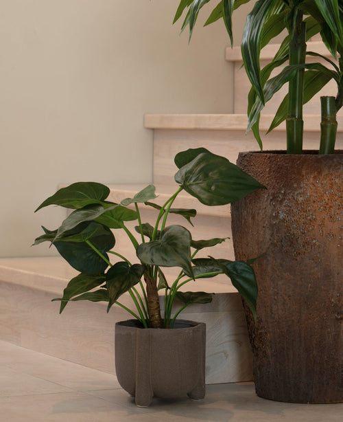 Een potplant met grote, hartvormige bladeren rust op een lichte houten vloer bij de trap. Ernaast staat de Kunstplant Alocasia Cucullata UV 53 cm in een pot met bruine structuur.