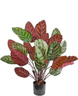 Kunstplant Calathea Makoyana 60 cm rood