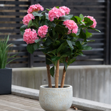 De Kunstplant Hortensia UV 85 cm roze, met meerdere stelen met trossen felroze hortensiabloemen en groene bladeren, staat buiten op een houten oppervlak bij een modern hek.