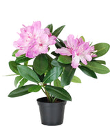 De Kunstplant Rhododendron 34 cm heeft glanzend groene bladeren en trossen lichtroze bloemen in een kleine zwarte plastic pot, tegen een witte achtergrond.