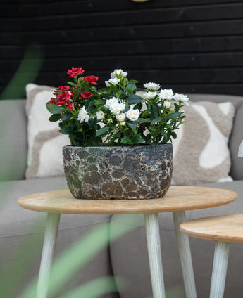 Een Kunstplant Patio-roos 35 cm crème UV staat op een ronde houten tafel voor een beige bank met kussens met een patroon.