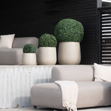 Vier Kunstplant Buxus romeinse stijl UV D40cm, rond en beige, met verzorgde groene struiken, staan op een moderne patio met lichtgrijze stoelen, een beige deken en een donkerhouten achtergrond voor een minimalistische look.