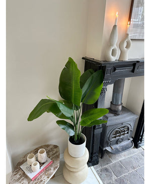 Kunstplant Strelitzia Real Touch Deluxe 120 cm