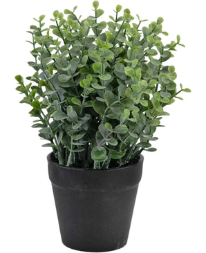 Kunstplant Pumila 23 cm