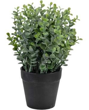 Kunstplant Pumila 23 cm