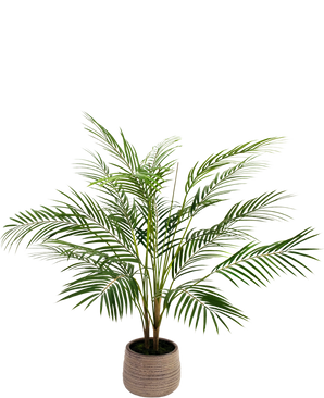 Kunstpalm Chamaedorea 83 cm