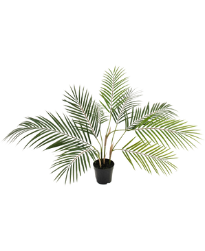 Kunstpalm Chamaedorea 83 cm