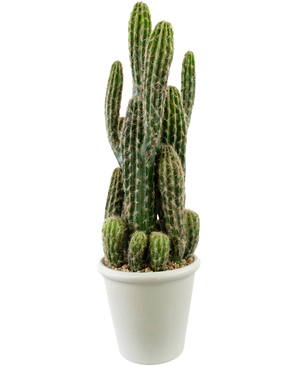 Kunst Cactus 62 cm