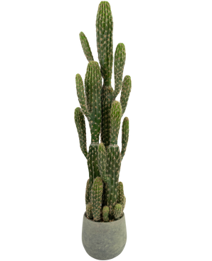 Kunst Cactus 100 cm