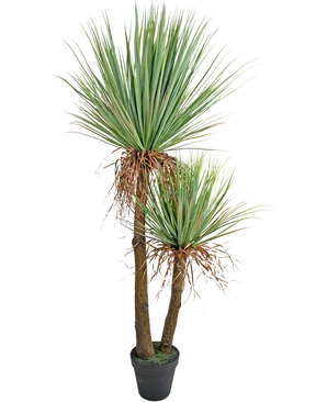 Kunstplant Yucca Deluxe 153 cm