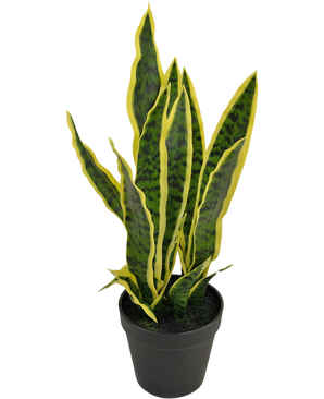 Kunstplant Sansevieria Laurentii 44 cm in sierpot