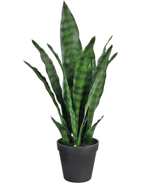 Kunstplant Sansevieria Zeylanica 44 cm