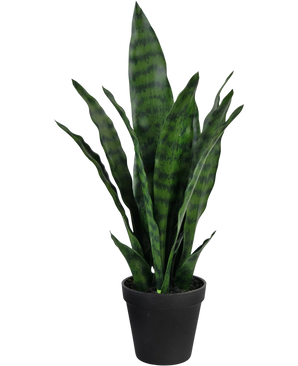 Kunstplant Sansevieria Zeylanica 44 cm