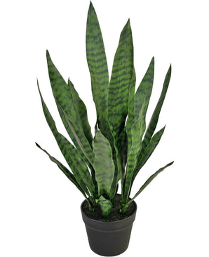 Kunstplant Sansevieria Zeylanica 71 cm