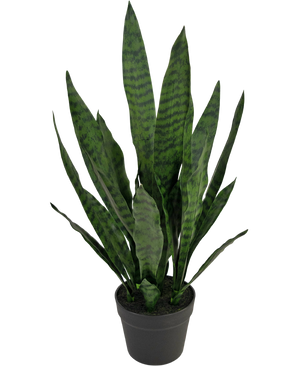 Kunstplant Sansevieria Zeylanica 71 cm