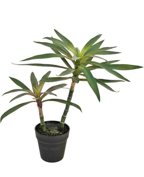 Kunstplant Yucca gigantea 53 cm