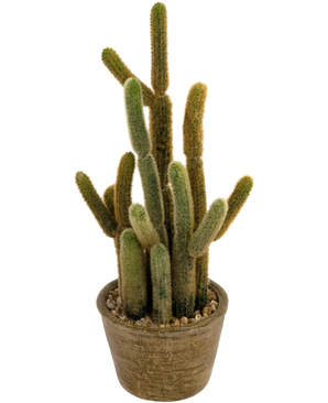 Kunst Cactus Cereus 35 cm