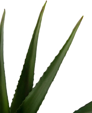 Kunstplant Aloe Vera 45 cm