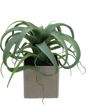 Kunst Vetplant in pot 24 cm