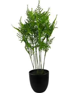 Kunstplant Asparagus 59 cm