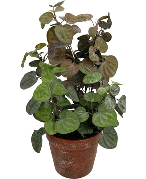 Kunstplant Peperomia 35 cm