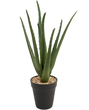 Kunstplant Aloe Vera 33 cm