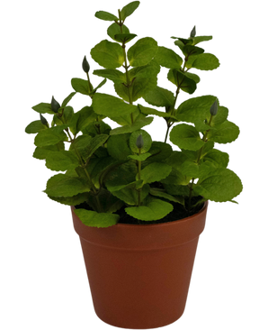 Kunstplant Mint 30 cm