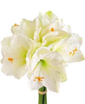 Kunstbloem Amaryllis Real Touch wit 36 cm