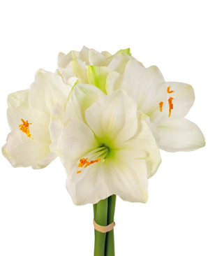 Kunstbloem Amaryllis Real Touch wit 36 cm