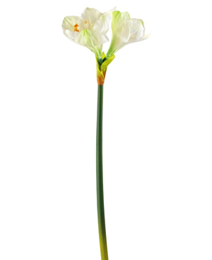 Kunstbloem Amaryllis Real Touch wit 66 cm