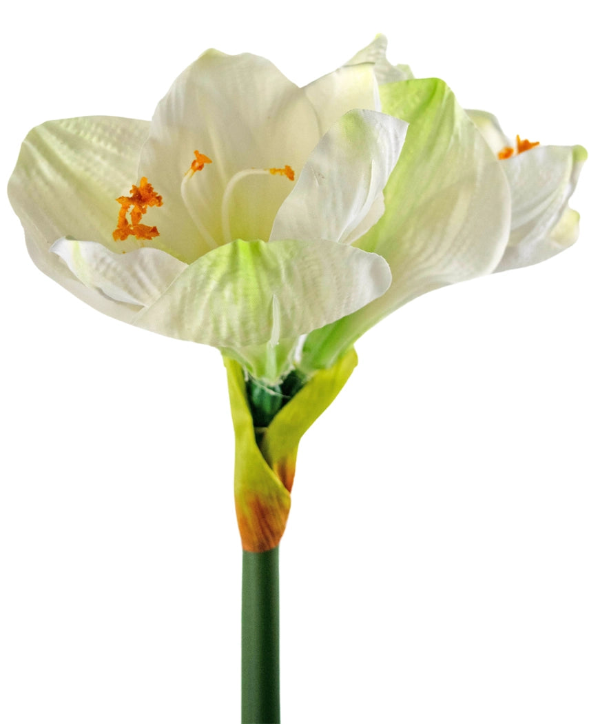 Kunstbloem Amaryllis Real Touch wit 66 cm