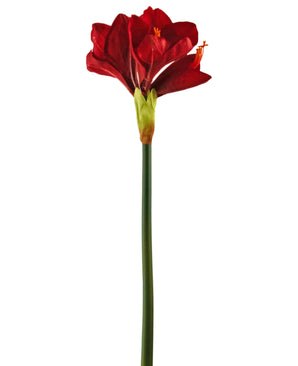 Kunstbloem Amaryllis Real Touch rood 66 cm