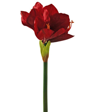 Kunstbloem Amaryllis Real Touch rood 66 cm