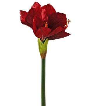 Kunstbloem Amaryllis rood 66 cm