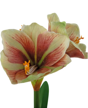 Kunstbloem Amaryllis Real Touch Rood/geel 48 cm