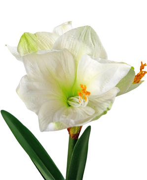 Kunstbloem Amaryllis Real Touch wit 48 cm