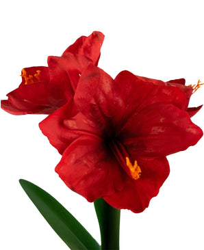 Kunstbloem Amaryllis Real Touch rood 48 cm