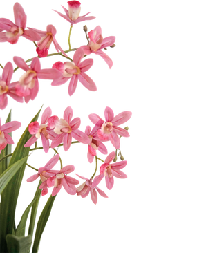 Kunstplant Mini Cymbidium Real Touch 58 cm roze