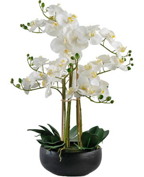 Kunst Orchidee Real Touch 50 cm wit in pot zwart