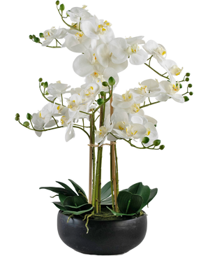 Kunst Orchidee Real Touch 50 cm wit in pot zwart