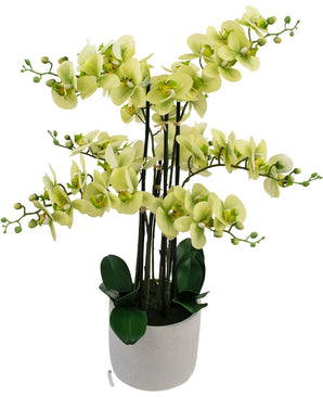 Kunst Orchidee Real Touch 81 cm groen