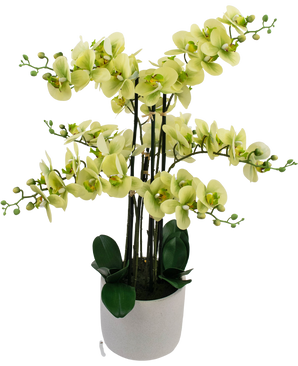 Kunst Orchidee Real Touch 81 cm groen